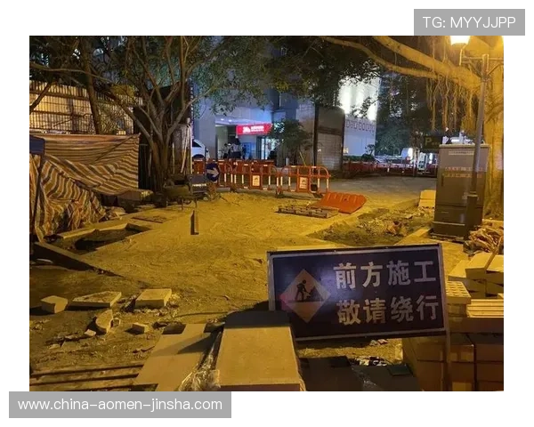 原金沙城中心首页登录安全保障措施详解保障玩家账号信息安全与隐私保护