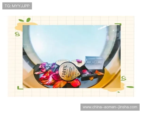 温莎国际：未来发展规划与创新项目介绍，助力客户实现资产的持续增值