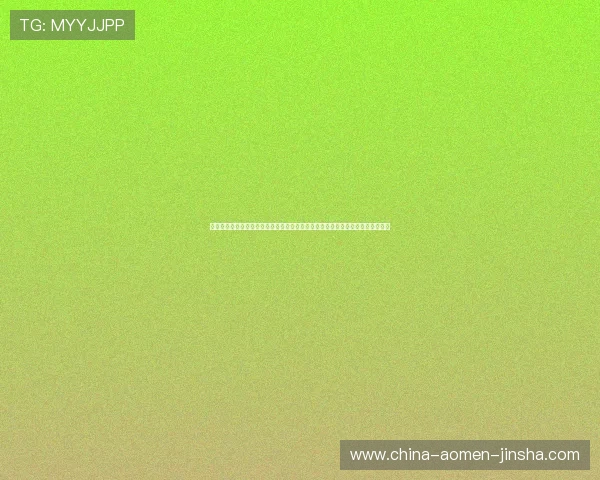 澳门彩备用网址多渠道安全登录方式，保障账户信息安全，畅享无忧博彩娱乐体验